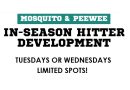 11U and 13U In-Season Hitter Development Sessions