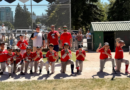 11U Red Sox – National League Divisional Winners! 11U Red Sox – National League Divisional Winners!